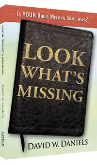 'Look What's Missing' by David W. Daniels
