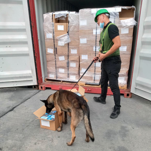 Philippine Customs official uses K-9 to inspect the boxes of tracts (Sniff, sniff).