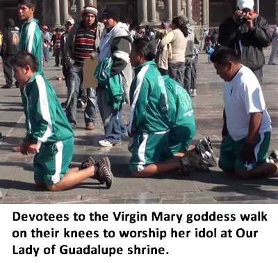 Devotees to the Virgin mary goddess walk on their knees to worship her idol at Our Lady of Guadalupe shrine.